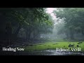 Listen to the rain on the forest path, relax, reduce anxiety, and sleep deeply/ Relaxed ASMR