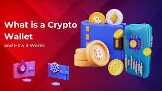 What is a Crypto Wallet? (Types, and How it Works)