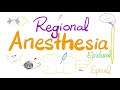 Epidural Anesthesia & Spinal Anesthesia | Regional Anesthesia