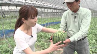 ココ・カラ。和歌山（2014/5/23 O.A）