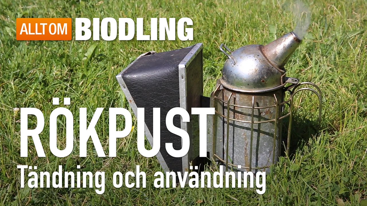 Rökpust - Tändning och användning  - Biredskap - Biodling