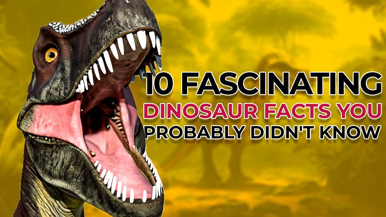 10 Fascinating Dinosaur Facts You Probably Didn't Know - YouTube