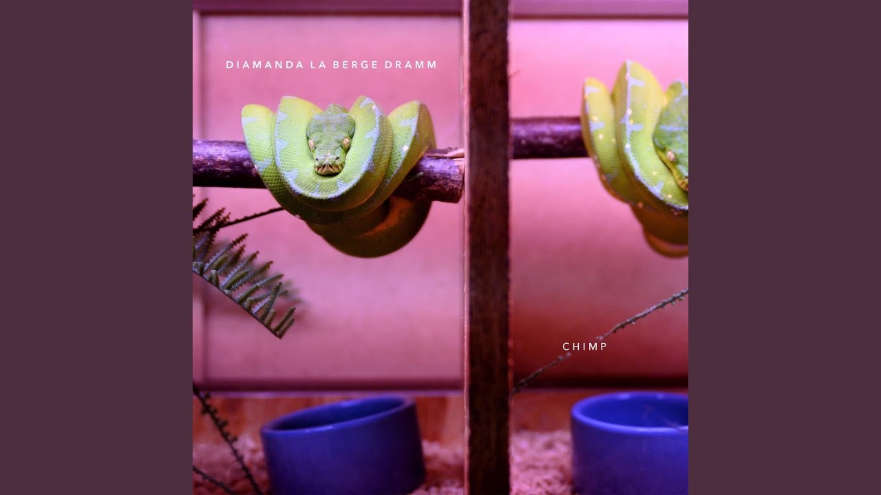 Watch Gorilla, C.E.O. on YouTube Watch Gorilla, C.E.O. on YouTube