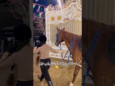 انا سرقت الحصان الشعب الصيني ماله حل حالات واتس خيل اكسبلور   حالات عرب خيال