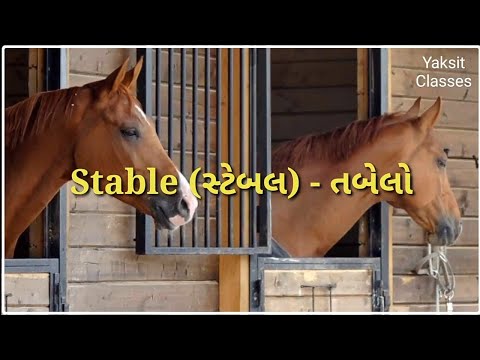 પ્રાણીઓનાં ઘર || સ્પેલિંગ ઉચ્ચાર અર્થ સાથે || Homes of Animals || અંગ્રેજી શબ્દો - 18 || Spelling