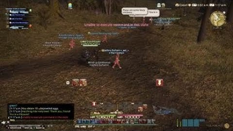 Final Fantasy XIV - Shadowbringers - Misc. - Hatching Tide 2020 Seasonal, Part 1 (Fate)