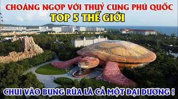 Choáng Ngợp Với Thủy Cung Top 5 Thế Giới Tại Phú Quốc, Chui Vào Bụng Rùa Khám Phá Cả Một Đại Dương !