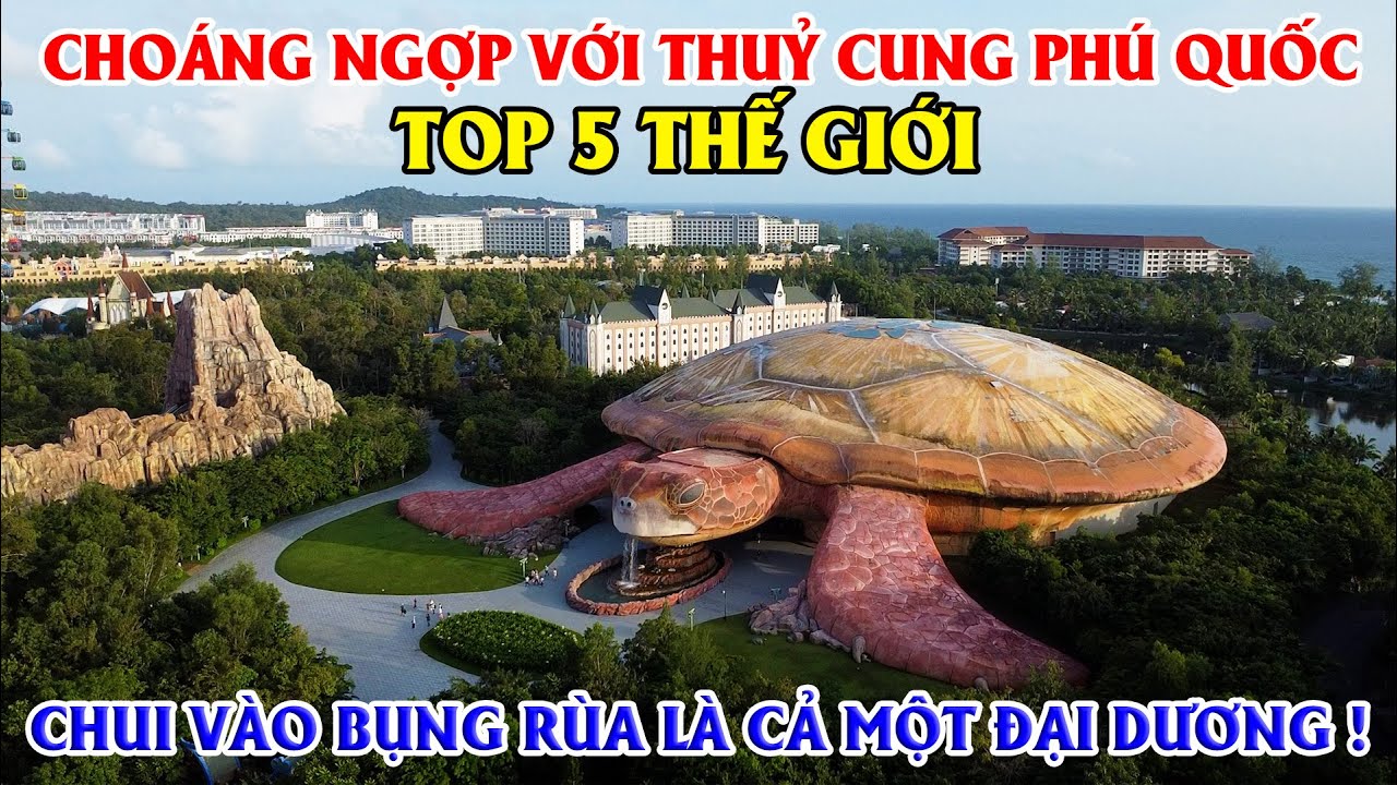 Choáng Ngợp Với Thủy Cung Top 5 Thế Giới Tại Phú Quốc, Chui Vào Bụng Rùa Khám Phá Cả Một Đại Dương !