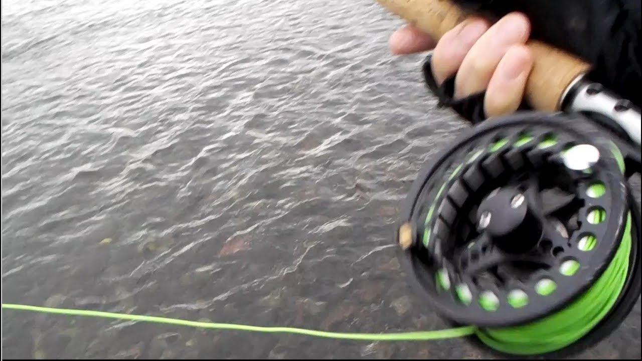 多摩川中流域でフライフィッシング 紳士の釣りです 釣り動画