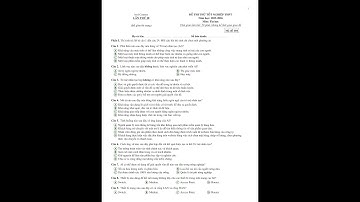 Chữa đề thi thử tốt nghiệp THPT môn Tin học | bvd Contest 20