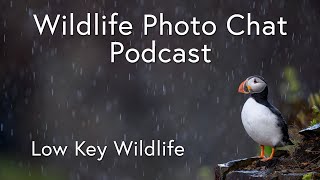 Wildlife Photo Chat Video Podcast - Atlantic Puffins in the Rain, Back-lit Terns, & Shooting Low Key
Episode 2: This week Brad heads out to photograph shorebirds and ends up working with Common Terns in flight in some gorgeous glowing backlight. Ray is still hanging out with Atlantic Puffins in Newfoundland and shares about recording a video lesson and shares a lot of new Puffin photos shooting close portraits, wide angle scenic photos and gets caught in the pouring rain with the puffins! The show ends with a discussion about shooting for low-key or black-background photos and shows some examples of how to do that.
Chapters:
00:00:00 - Intro
00:02:35 - Brads past week
00:18:00 - Rays past week
01:18:31 - Low Key Wildlife Photography
Gear used in this episode:
Nikon Z9
Nikon Z8
Nikon Z6III
Nikon 500mm f/4 G
Nikon Z 400mm f/2.8 TC
Nikon Z 400mm f/4.5
Nikon Z 135mm f/1.8 Plena
Nikon Z 100-400mm f/4.5-5.6
Nikon Z 70-200mm f/2.8
Nikon Z 24-120mm f/4
Laowa 10mm f/2.8 Wildlife Photo Chat Video Podcast - Atlantic Puffins in the Rain, Back-lit Terns, & Shooting Low Key