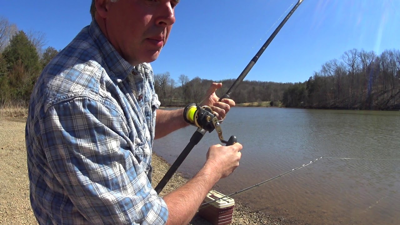 The 15 Minute Flathead Bite