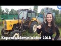 [Vlog #23] ☆ Kopanie Ziemniaków 2018 z Dziewczyną ☆ Polskie Wykopki