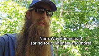 NarroWay Homestead update tour!