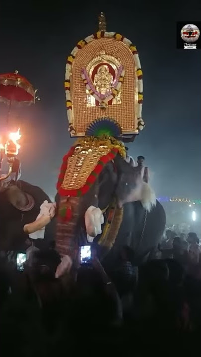 Kurumalikavu Kumbabarani 2020  -  Pambadi Rajan Mass Entry #AzhakuRajan....appus ഇസ്തം