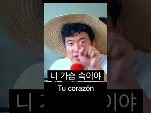 가슴 스페인어