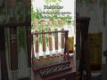 Why Every Serious Cigar Lover Needs This Tool Sikarinfuse Humidor Cigar mp3