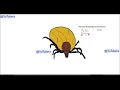 How to draw a tick