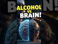 What Alcohol REALLY Does to Your Brain 🧠 (Shocking Truth) #facts