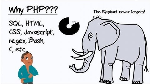 You should learn PHP!