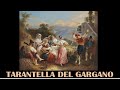 Italian traditional music  tarantella del gargano