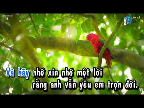 Dạ Khúc Buồn (Slow Surf) - Karaoke HD (Tone Nam - Em)/ Tình Ca Nhạc Trẻ