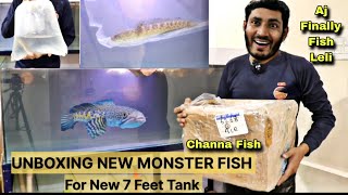 Unboxing Monster Fish for 7 Feet TANK  Channa Fish Variety  Adding Fish in New 7 feet tank