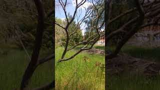 Ddr-Reiseführer Dadn