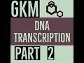 Gkm  dna transcription part 2    2