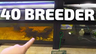 This video shows you the update to the Lowes 40 breeder rack system. I