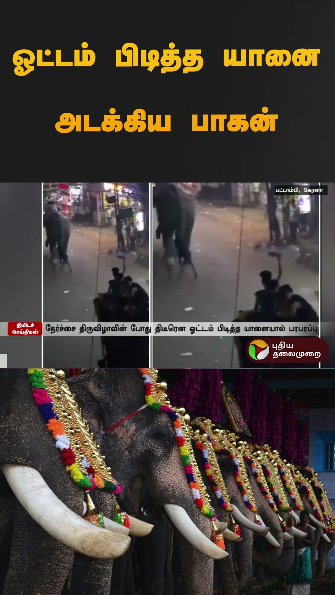 ஓட்டம் பிடித்த யானை அடக்கிய பாகன் | #kerala | #elephant | shorts