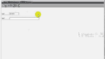 create parameter values to the users in sap