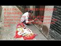 75helped uncle yao an overseas chinese living found his  home167