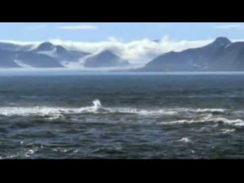 Regardez Overflow - By: Hindsight sur YouTube Regardez Overflow - By: Hindsight sur YouTube