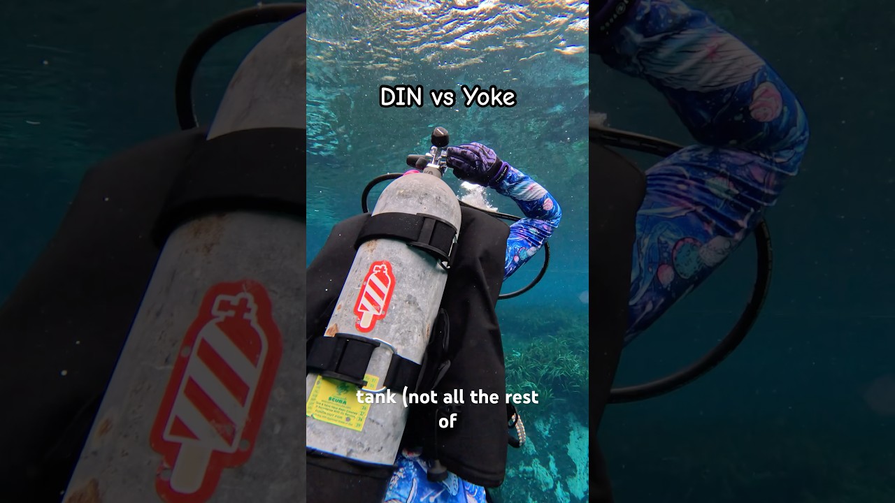 Two types of Scuba Regulators for recreational divers 🤿✌️ 