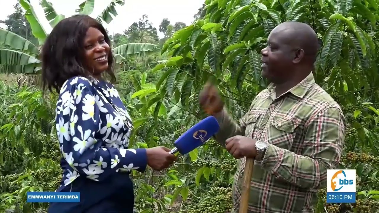 Hon. Kasibante Moses akulaga obugagga bwafunye mu kulima Emmwaanyi #EmmwanyiTerimba