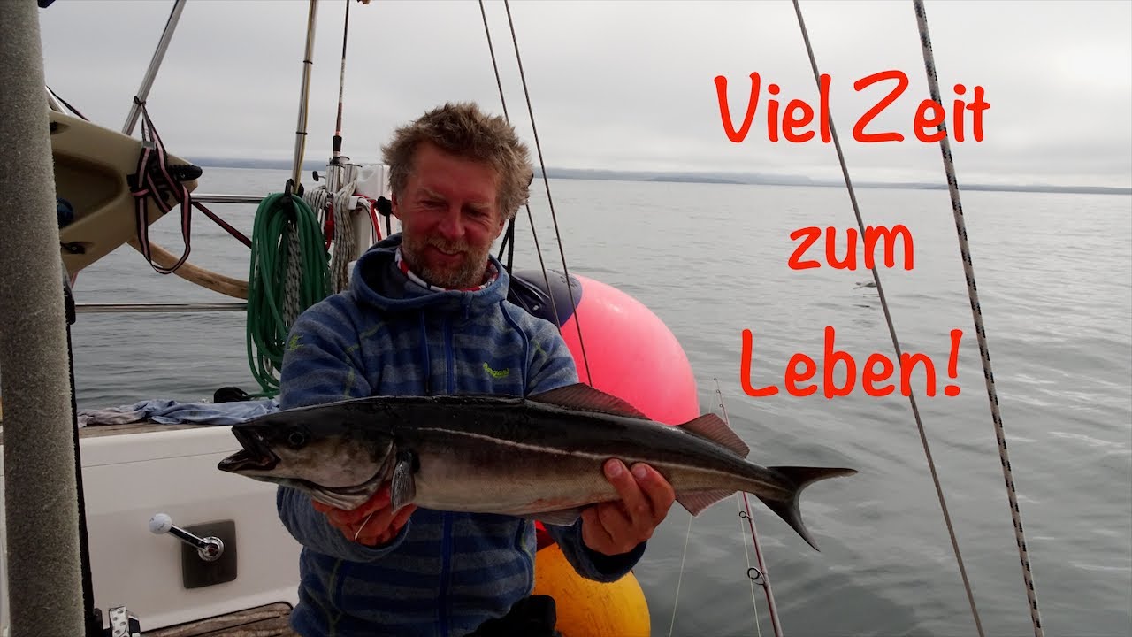 Segeln Island - Raufarhöfn nach Flatey #38 @XTripSailingXtrip Sailing