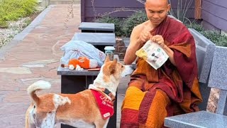 Our Aloka and Buddhist Monk