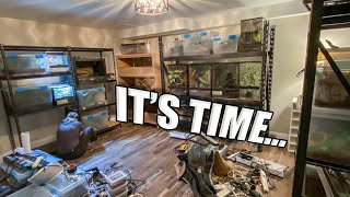 Changes coming to the REPTILE ROOM!! by Mike Tytula 4,619 views 11 months ago 11 minutes, 2 seconds