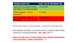 Blood Transfusion reactions in veterinary medicine