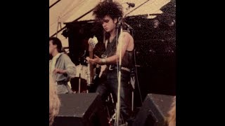 Fools Dance - The Ring (vocals Simon Gallup)