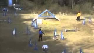 20080302 2 2