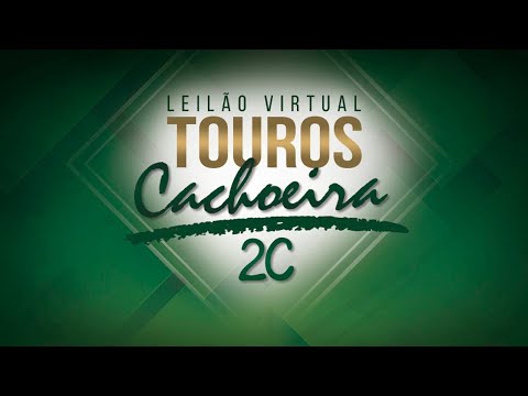 Lote 19   3042 18 TE Cachoeira 2C   GCID 3042 Copy