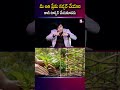మీ అతి ప్రేమ నర్చర్ చేయాలి కాసి టార్చర్ చేయకూడదు..| MVN Kasyap | Sumantv Anchor Nagaraju