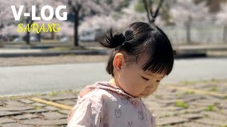 Vlog Sarangs To See The Cherry Blossoms In Jikjisa