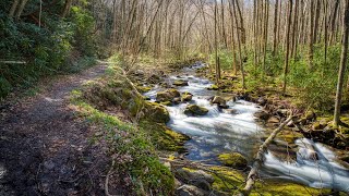 Great Smoky Mountains National Park Backpacking (TN) - March 2022