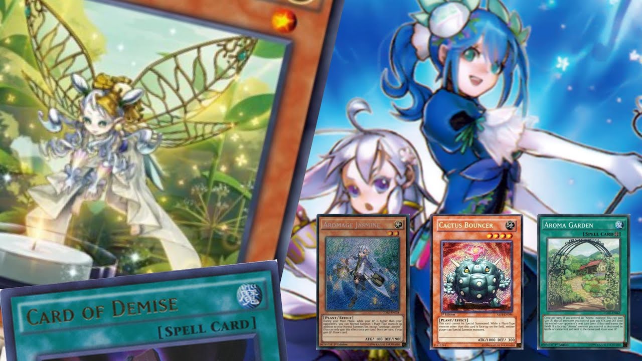 An Aroma Deck  with Aromaseraphy Angelica Cactus Bouncer  An Aroma Deck  with Aromaseraphy Angelica Cactus Bouncer