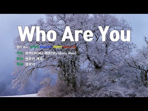 [은성 반주기] Who Are You - 보아(BOA).개코(Dynamic Duo)
