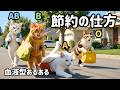 節約の仕方【猫】血液型あるある