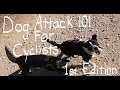 DOG ATTACK 101 for Cyclists: 1st Edition w/Aaron Smith/Gainesville, TX/Cooke County, Texas/Amputee